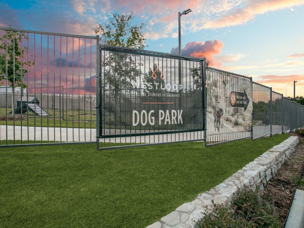 Dog park